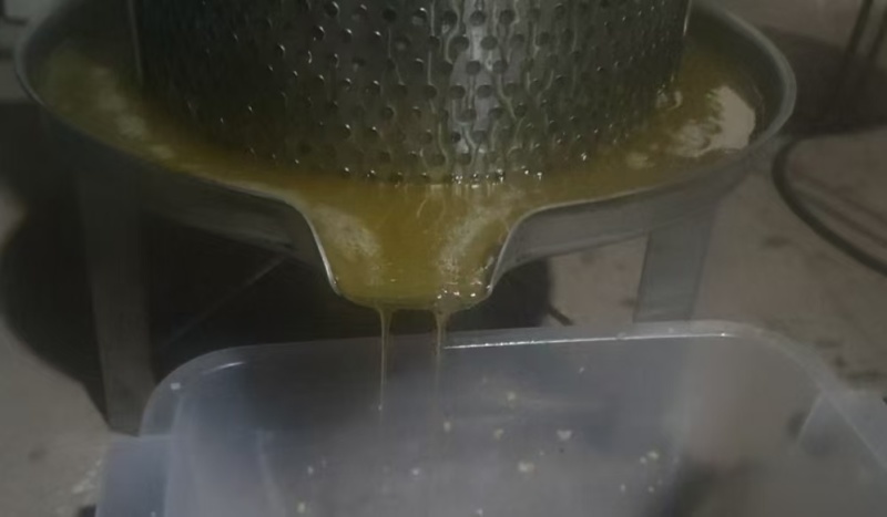 广西纯正荔枝蜂蜜