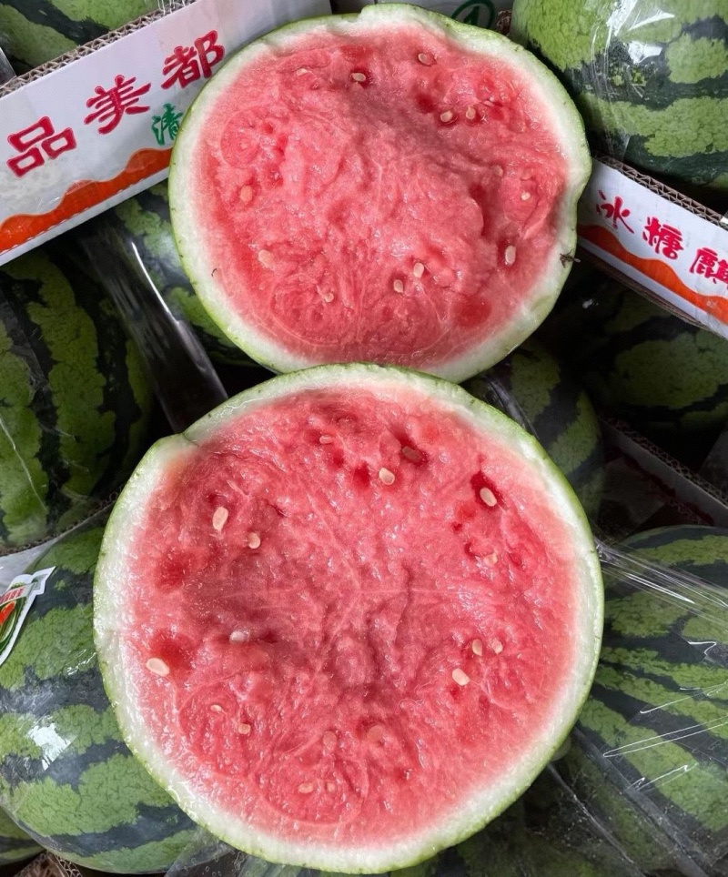 台农麒麟瓜&甘肃平凉基地直供/包熟包甜/全国发货一条龙