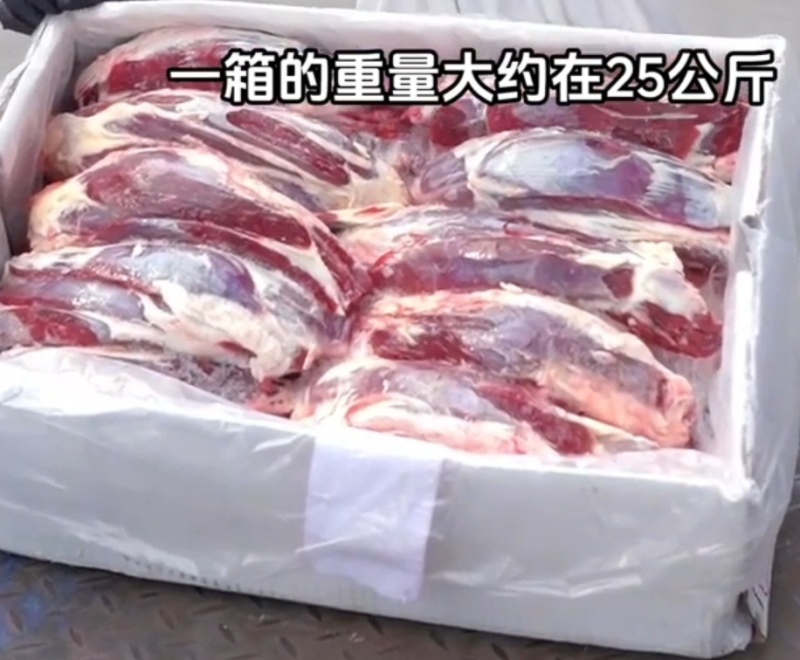 黄牛龟腱子国产前腱子山东黄牛批发牛腿腱子肉
