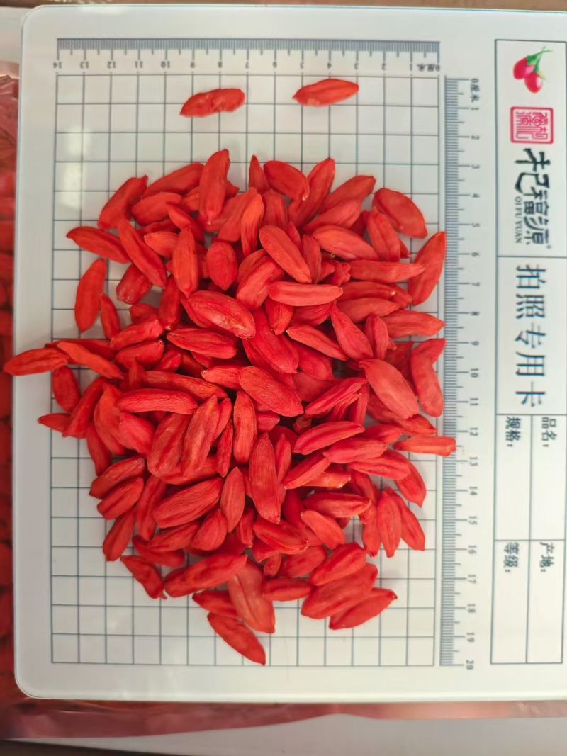长期供货价格美丽24小时在线服务尽享枸杞好滋味