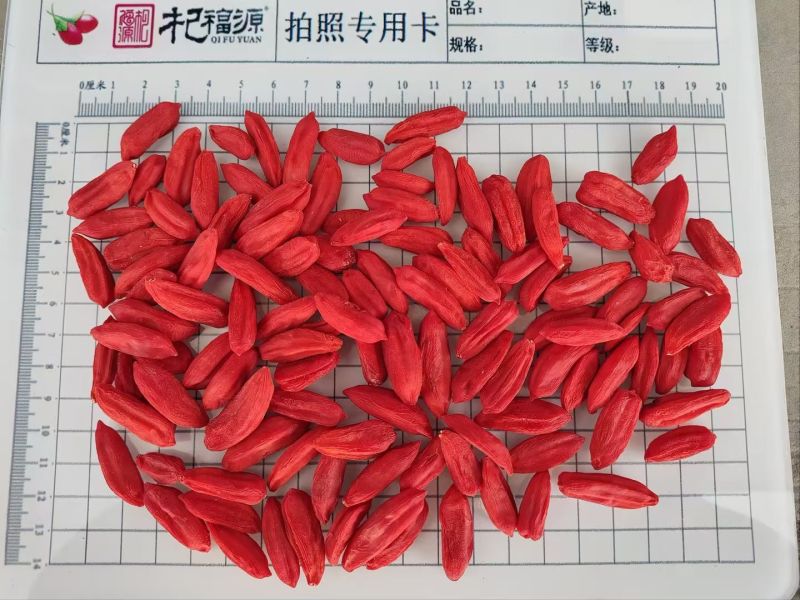 长期供货价格美丽24小时在线服务尽享枸杞好滋味