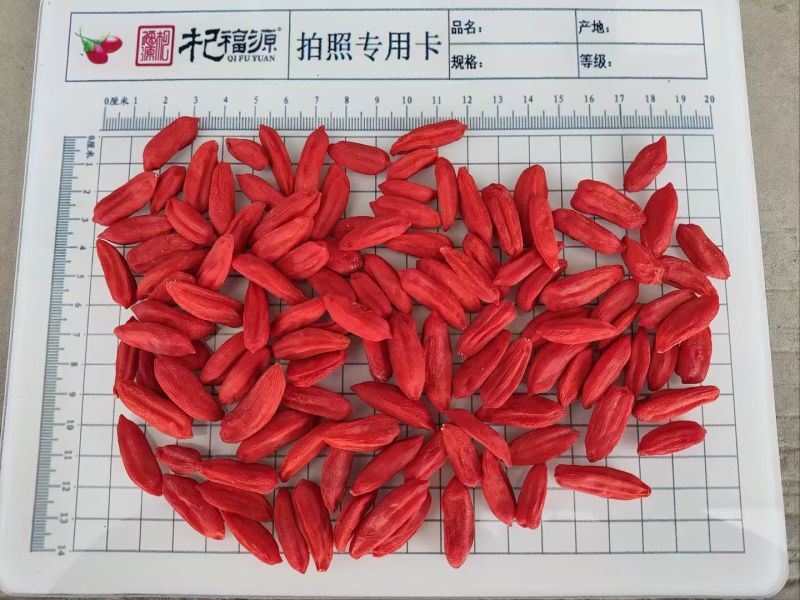 长期供货价格美丽24小时在线服务尽享枸杞好滋味