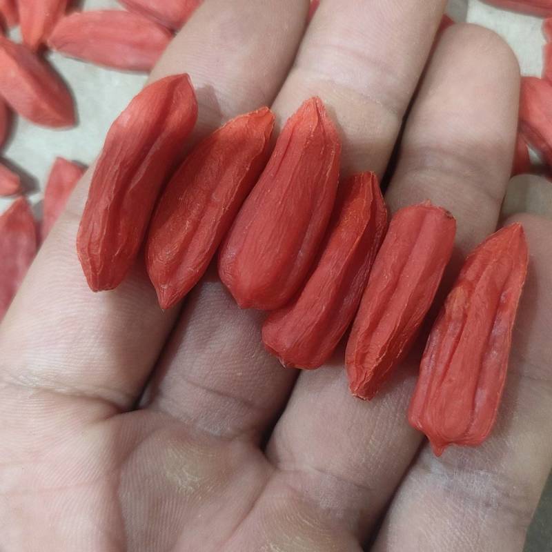 长期供货价格美丽24小时在线服务尽享枸杞好滋味