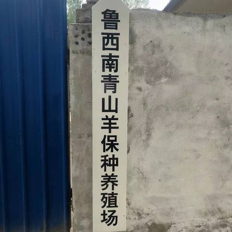 青山羊鲁西南狗羊多胎高产肉质鲜美好饲养全国包邮