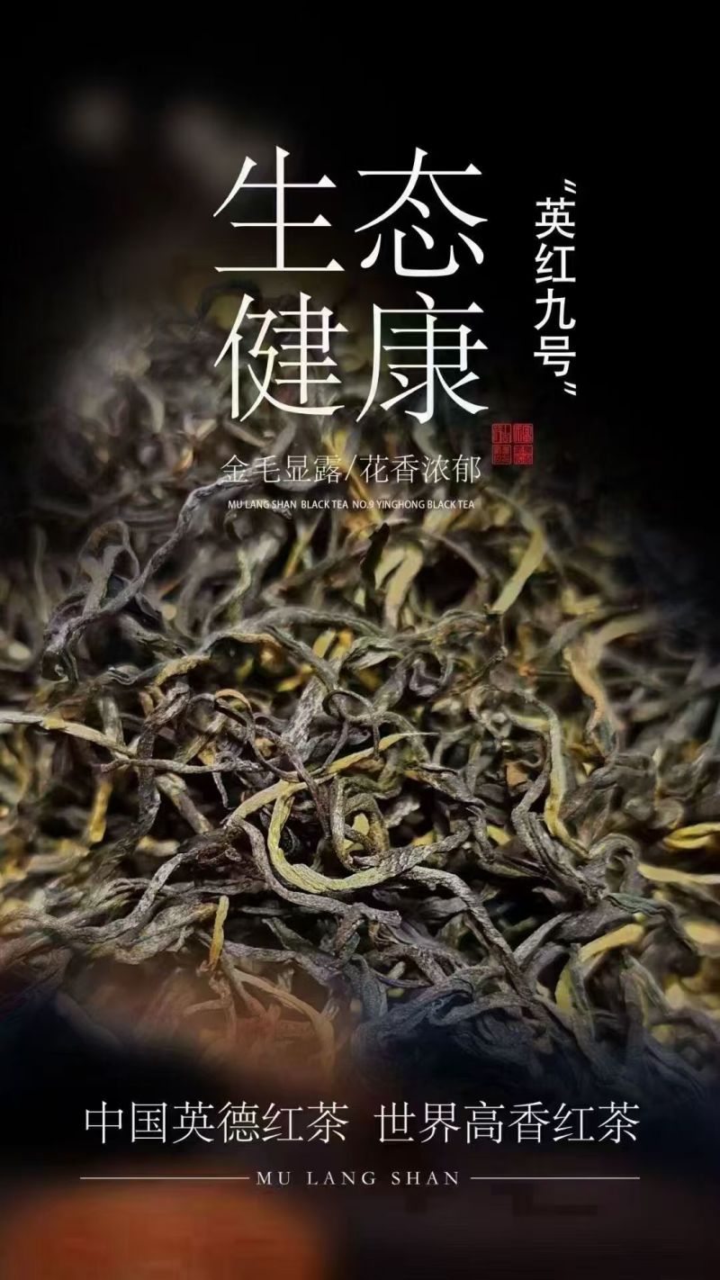 小青柑茶，桔子红茶，原产地小青柑橘茶叶，功夫茶叶。
