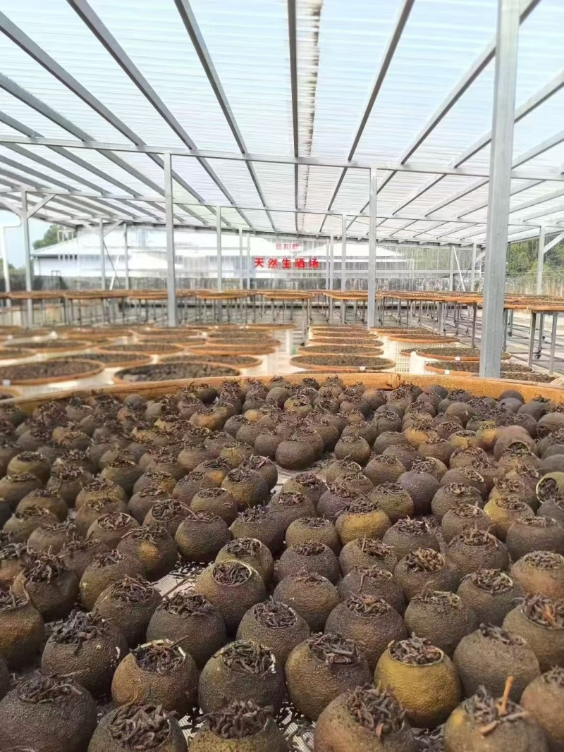 小青柑茶，桔子红茶，原产地小青柑橘茶叶，功夫茶叶。