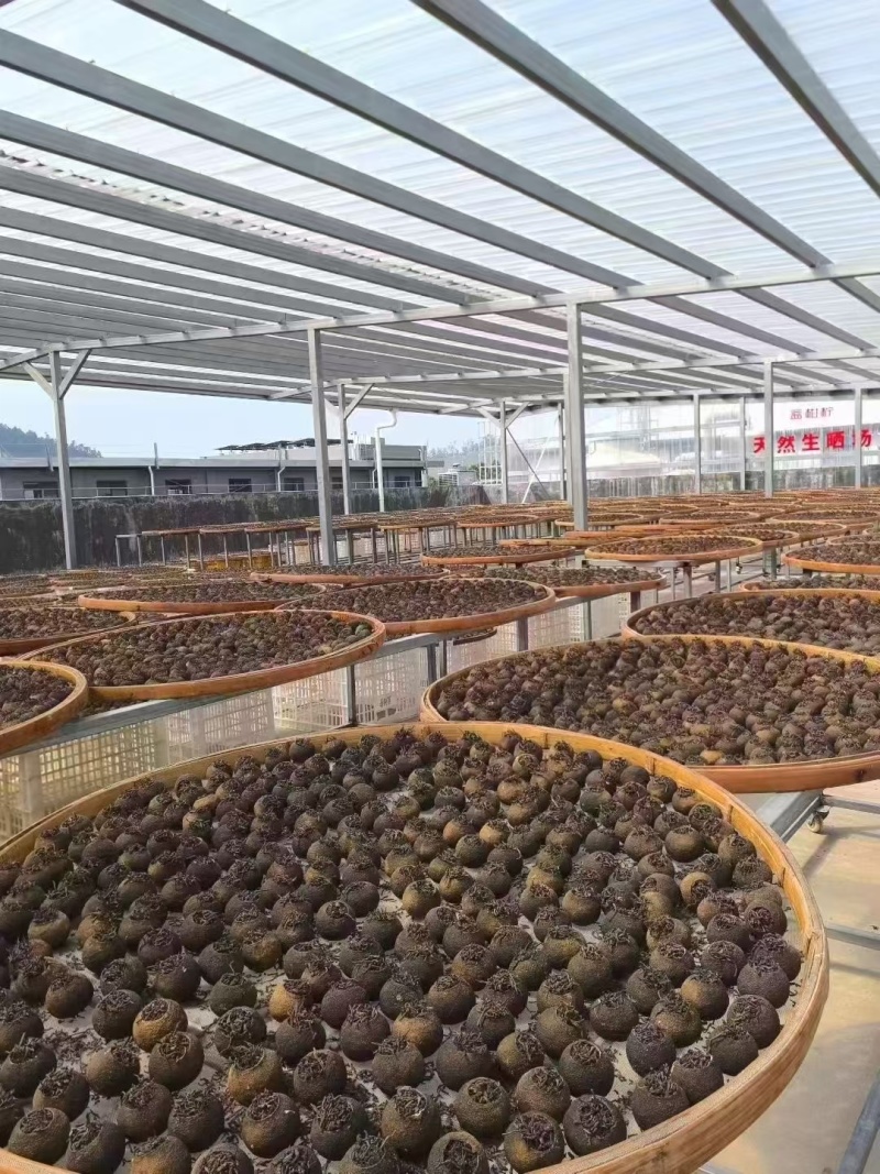 小青柑茶，桔子红茶，原产地小青柑橘茶叶，功夫茶叶。