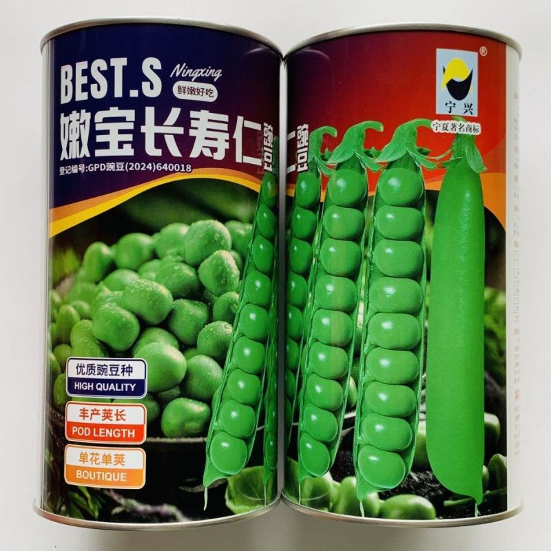 嫩宝长寿仁豌豆种子蔓生白花单荚甜豌豆种子豆荚粗大圆厚春秋