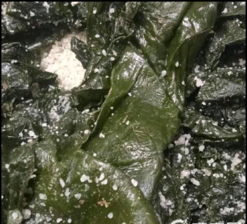 【一手货源】盐渍整颗海带大量供应品质保证视频看货