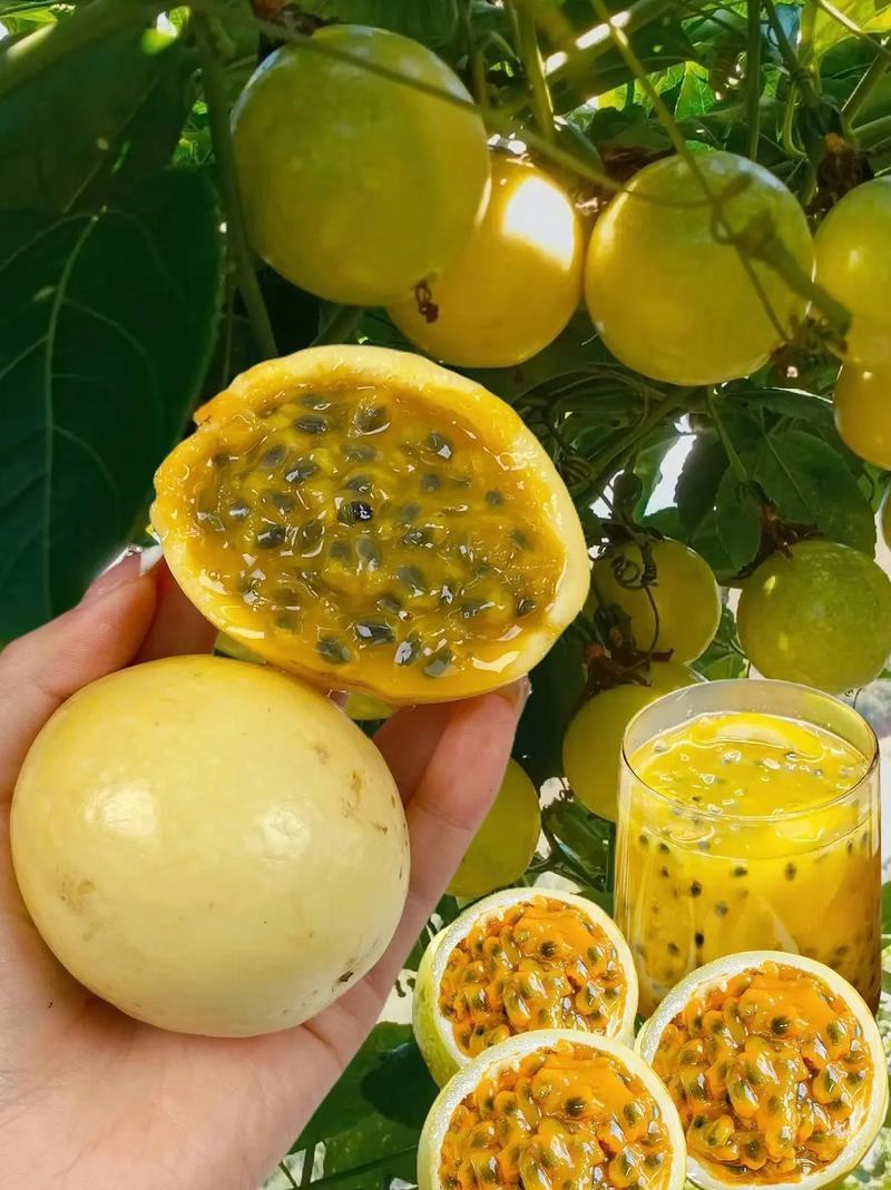 百香果