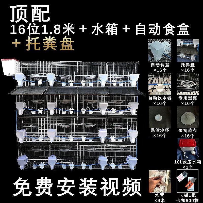 加粗热镀锌鸽笼子12位养殖厂专用肉鸽笼繁殖配对批发