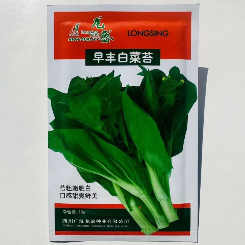 早熟白菜苔种子口感微甜早丰白菜苔种子小白菜种子