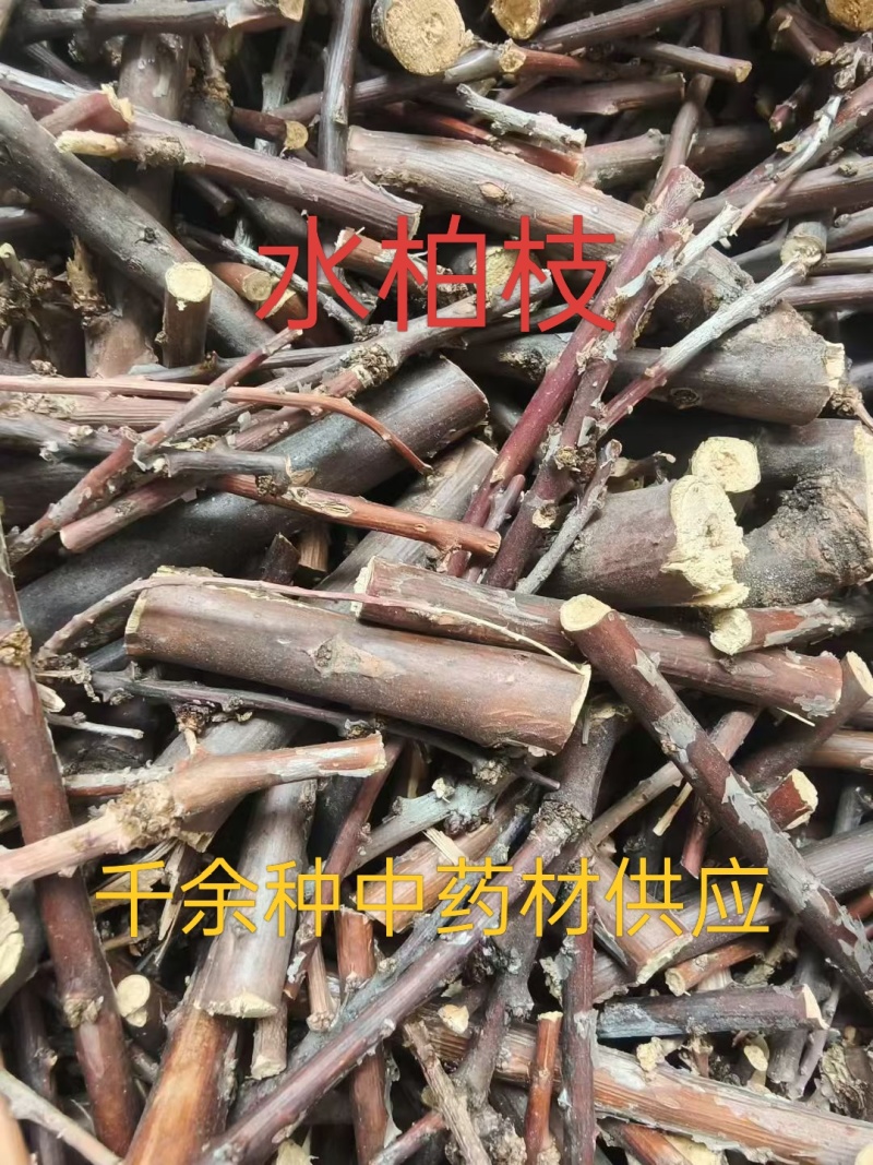 中药材水柏枝，各种藏药维药蒙药供应，欢迎咨询购买