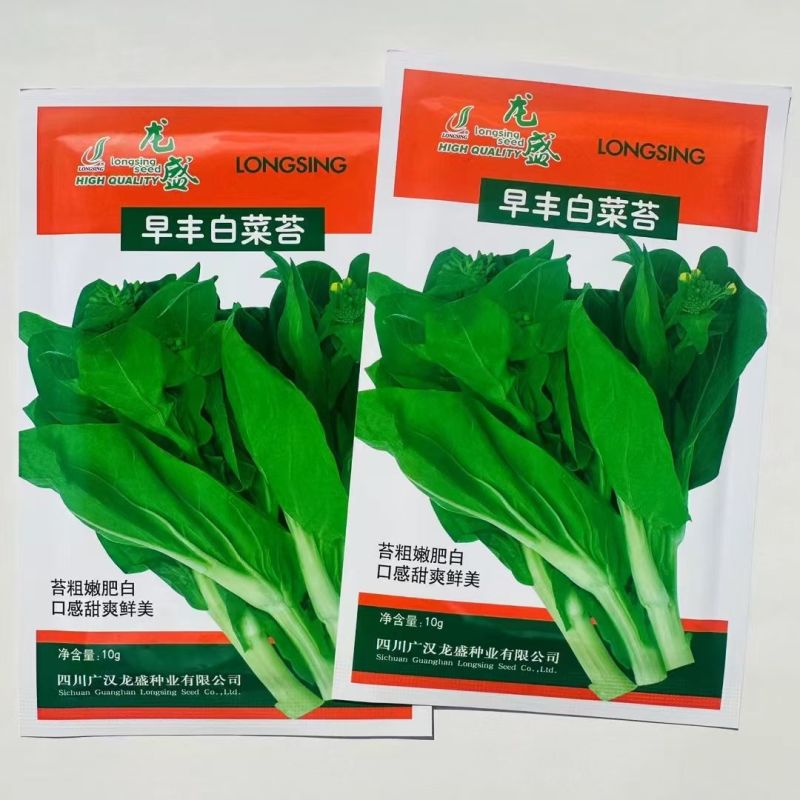 早熟白菜苔种子口感微甜早丰白菜苔种子小白菜种子