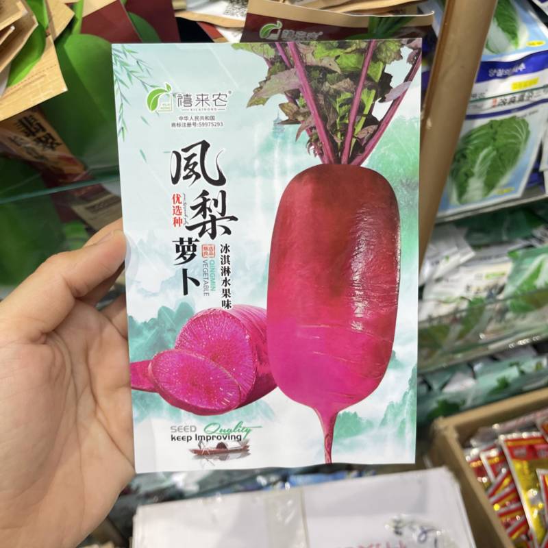 凤梨红心水果萝卜种子高产生吃红心脆心里美四季春秋夏季蔬菜