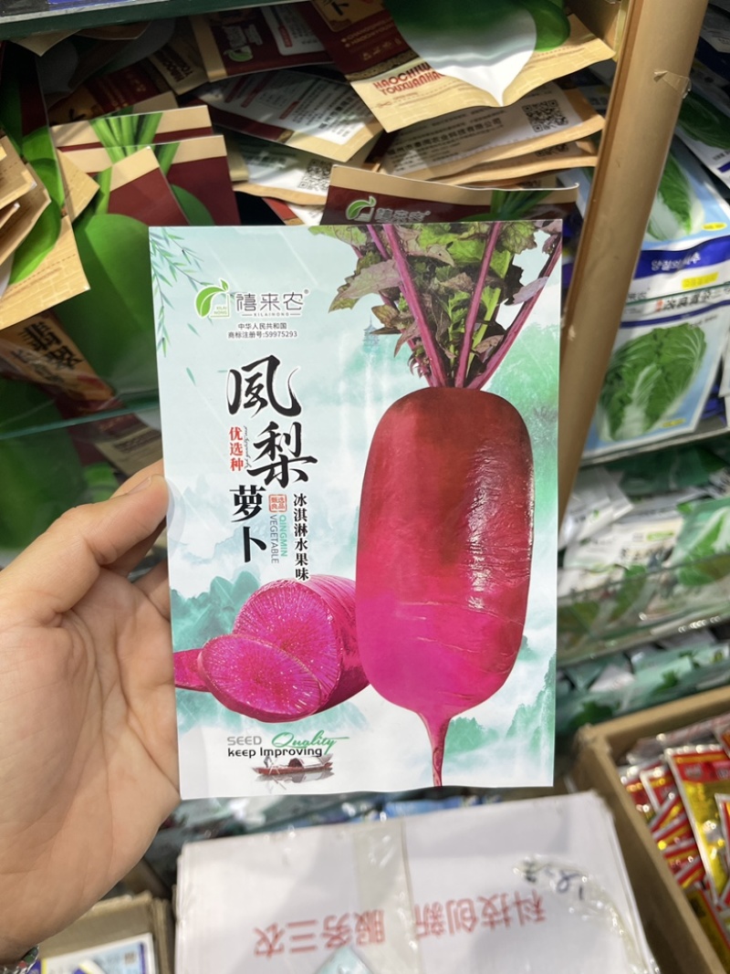凤梨红心水果萝卜种子高产生吃红心脆心里美四季春秋夏季蔬菜