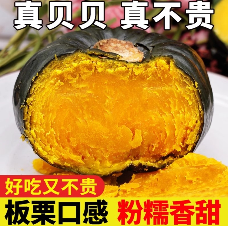【沙糯甜】陕北黄土高原旱地贝贝南瓜
