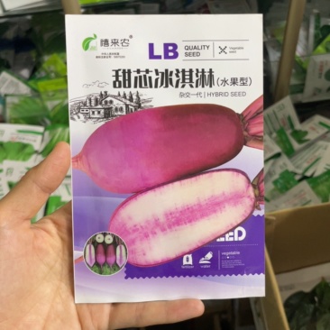 双色冰淇淋萝卜种子甜脆生吃水果紫心萝卜种子春秋种植