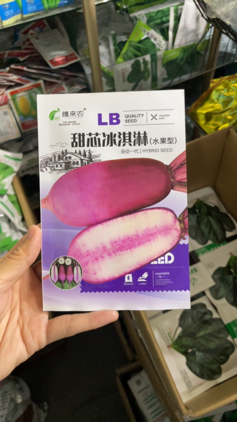 双色冰淇淋萝卜种子甜脆生吃水果紫心萝卜种子春秋种植