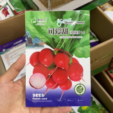 樱桃萝卜种子早熟皮薄鲜红细嫩多汁春秋均可种植