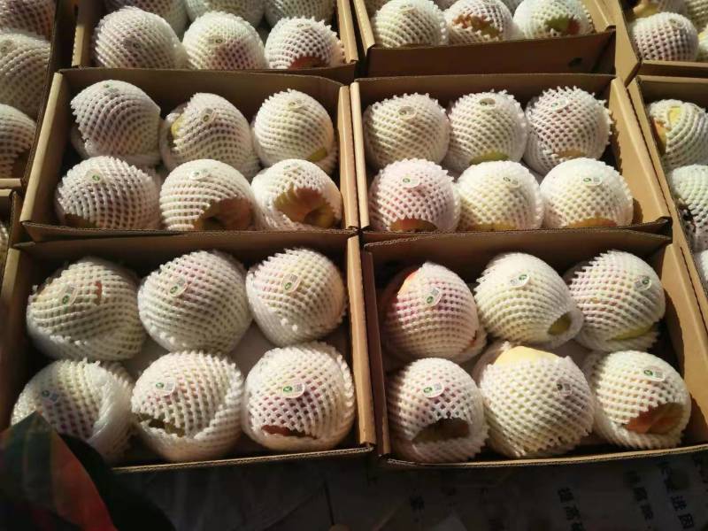 高档礼品，正宗深州马庄蜜桃