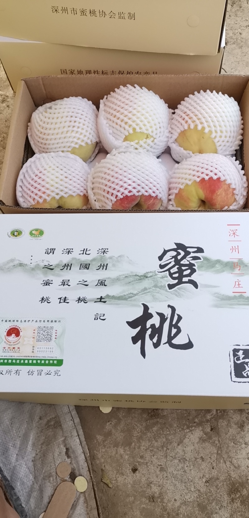 高档礼品，正宗深州马庄蜜桃