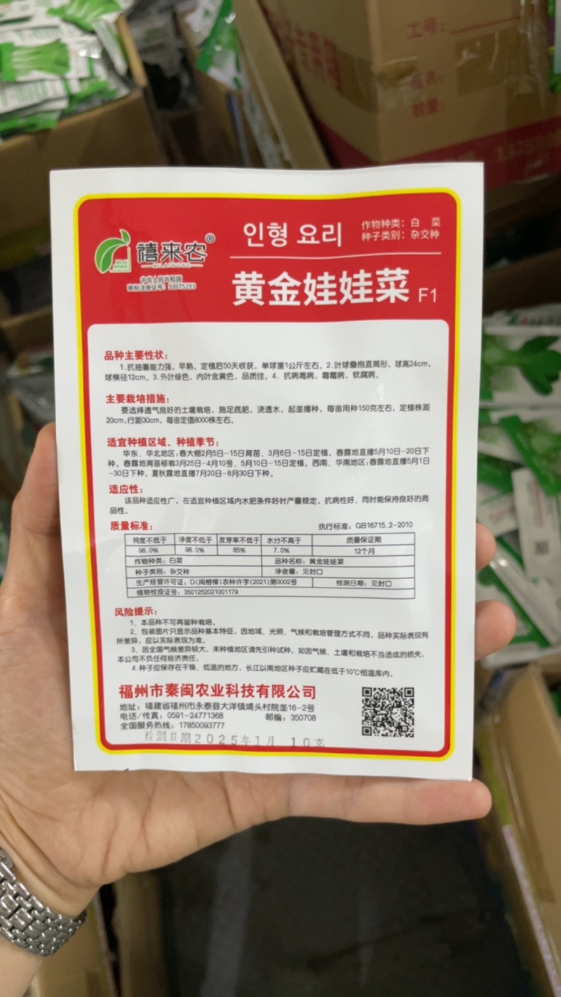 四季黄金娃娃菜种子早熟定植约50天收获南北方均可载