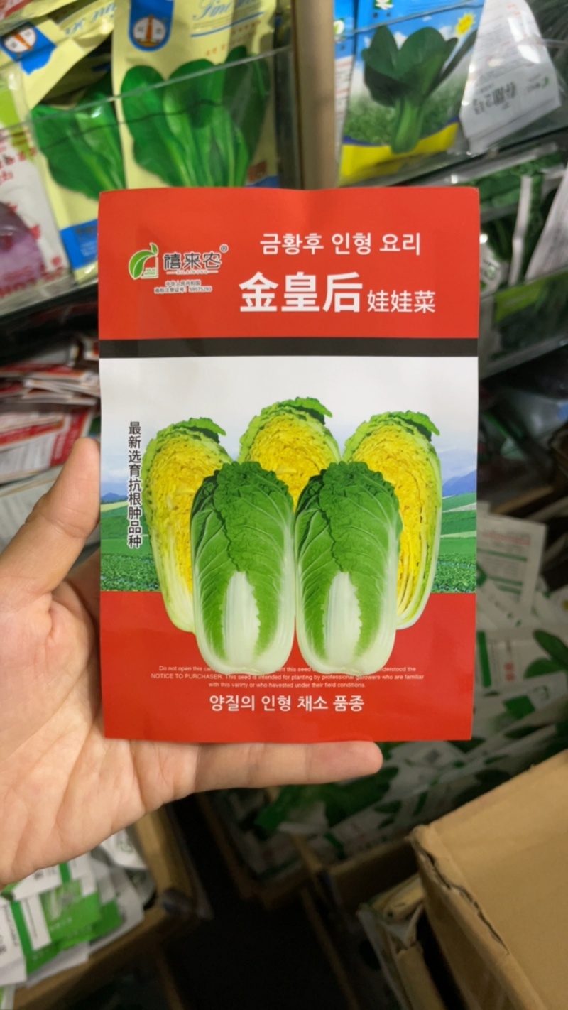 四季金皇后娃娃菜种子蔬菜种子生长快品质好菜籽春夏