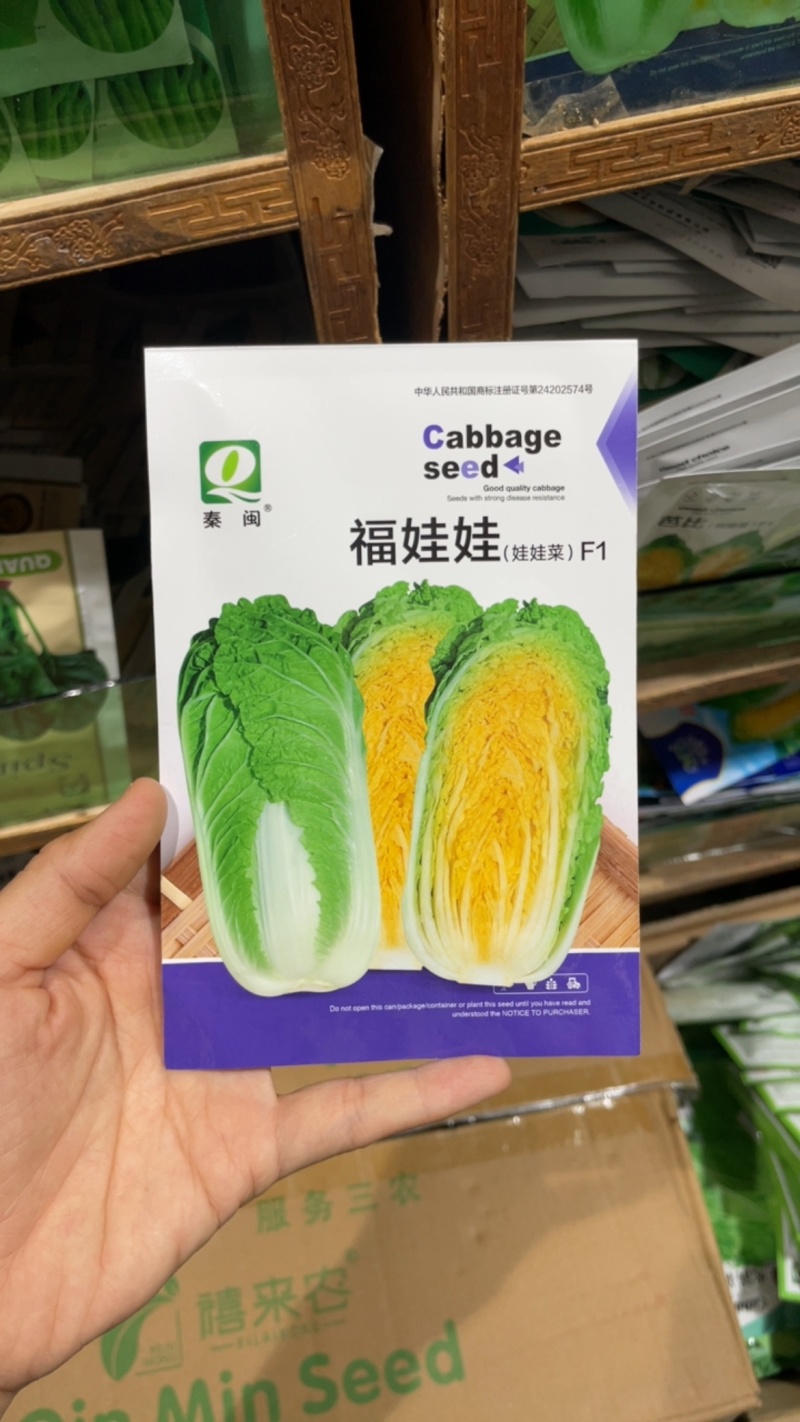 四季福娃娃菜种子原厂包装蔬菜种子生长快品质佳菜籽春夏