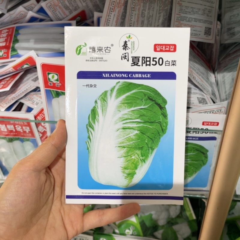 夏阳50耐热早熟白菜种子甜菜种子夏秋两季阳台庭院农户蔬菜