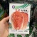 火凤凰白菜种子夏播耐热大白菜种子包心菜饺子菜种子蔬菜种子