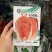 火凤凰白菜种子夏播耐热大白菜种子包心菜饺子菜种子蔬菜种子