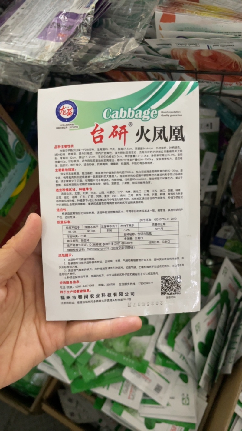 火凤凰白菜种子夏播耐热大白菜种子包心菜饺子菜种子蔬菜种子