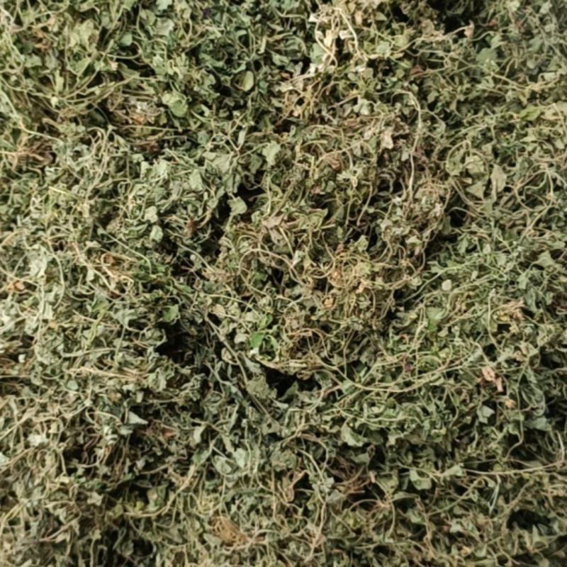 铜锤玉带草，贵州野生干净无硫干统货