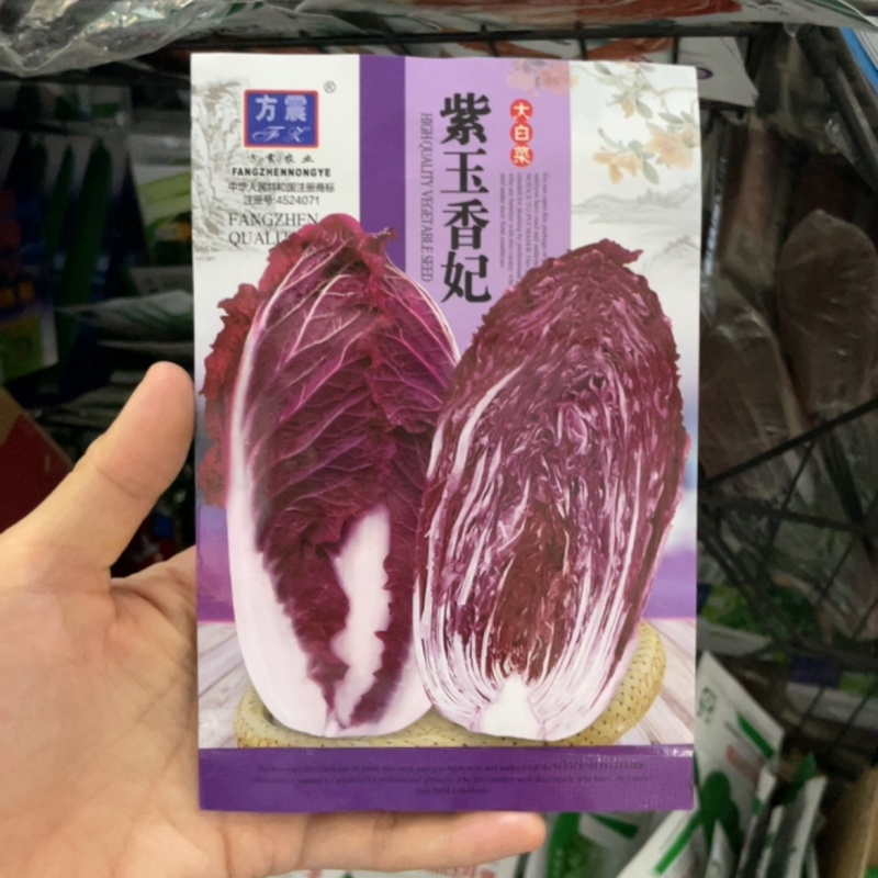 紫白菜种子中熟生长期约75天左右南北均可种植