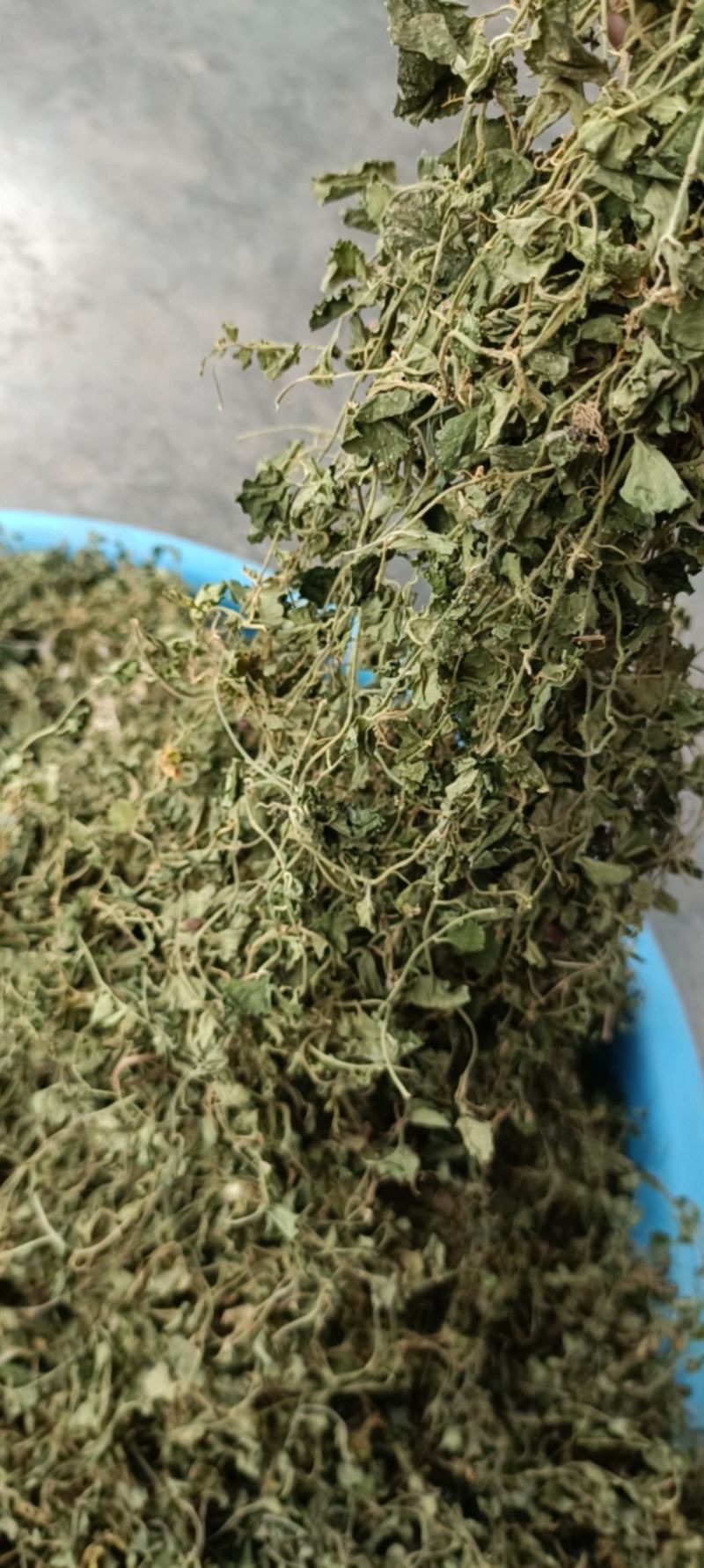 铜锤玉带草，贵州野生干净无硫干统货