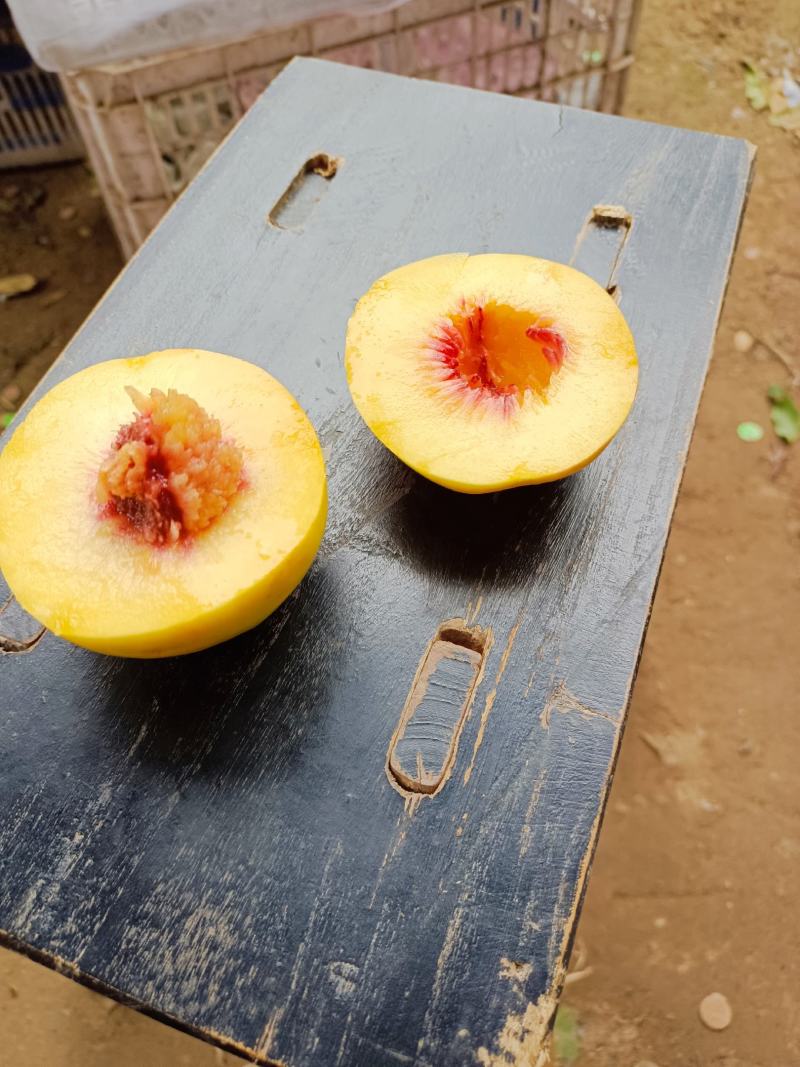 黄油桃