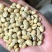 白扁豆干货国产各种规格都有现货量大从优