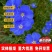 蓝花亚麻种子厂家一手货源批发品质保证价格便宜欢迎联系合作