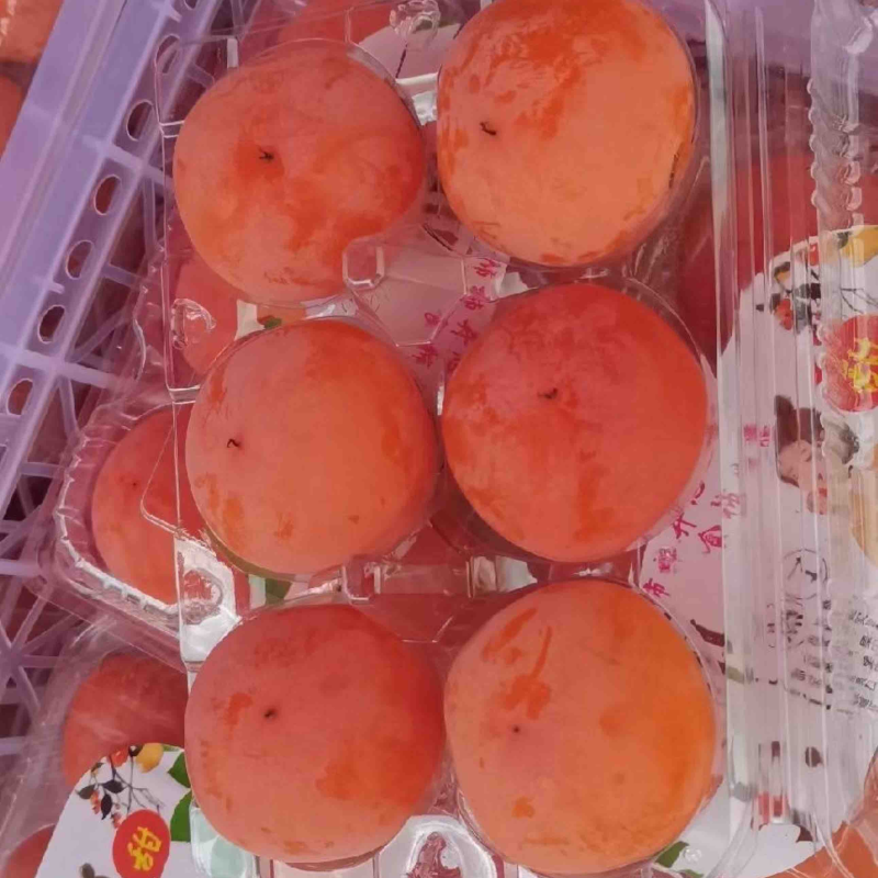 七月黄柿子柿子产地直发甜美多汁坏果包赔量大优惠
