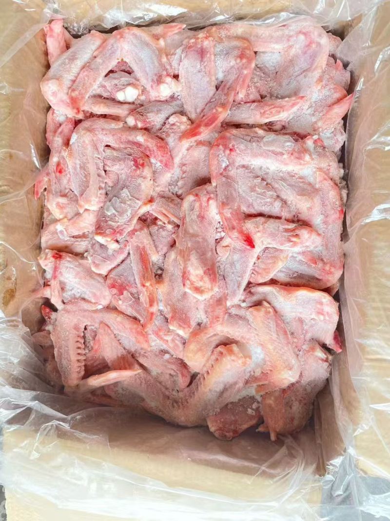 板冻二节翅