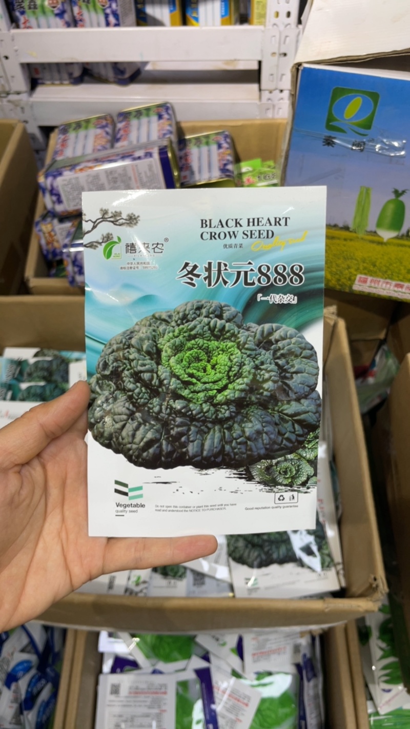 黑心乌菜种子黑油菜乌塌菜种籽黄心乌耐寒抗病高产秋季播蔬菜