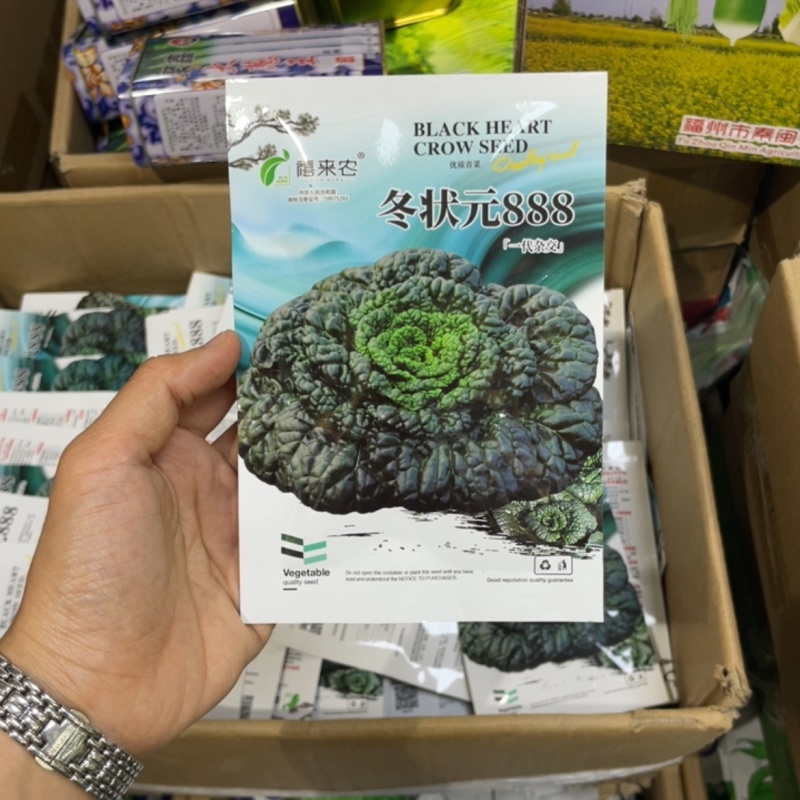 黑心乌菜种子黑油菜乌塌菜种籽黄心乌耐寒抗病高产秋季播蔬菜