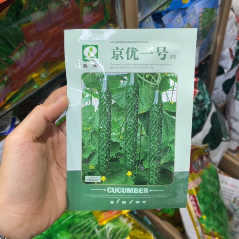 水油绿青皮绿肉黄瓜种子杂交一代农家庭院阳台种植蔬菜种子