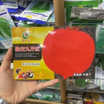 杂交九斤红种子大红圆萝卜种子夏秋播红皮白肉红丰萝卜蔬菜