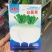 白蔓菁种子大头菜盘菜蔓菁表面光滑肉质细嫩生食炒萝卜种子
