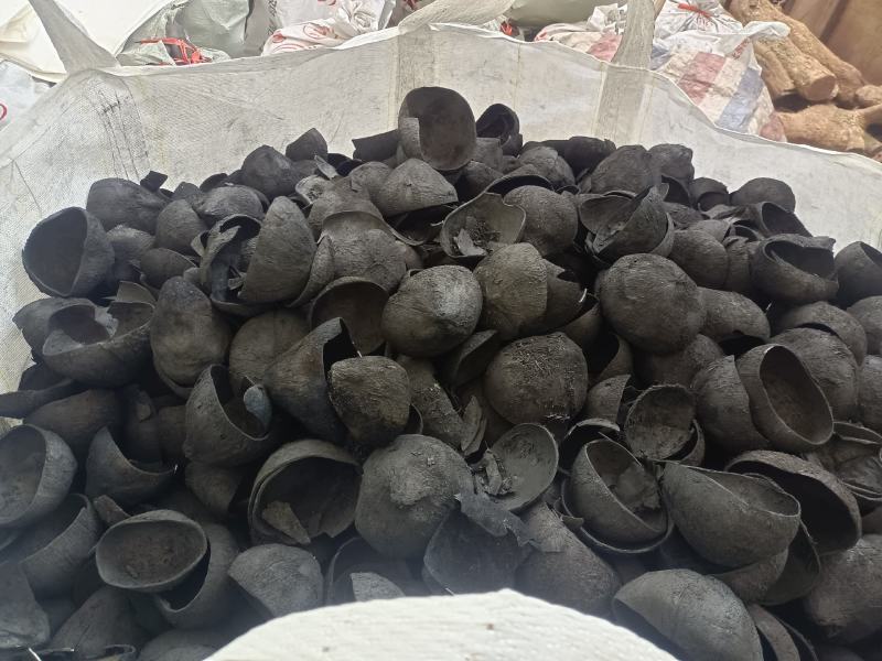 椰壳炭