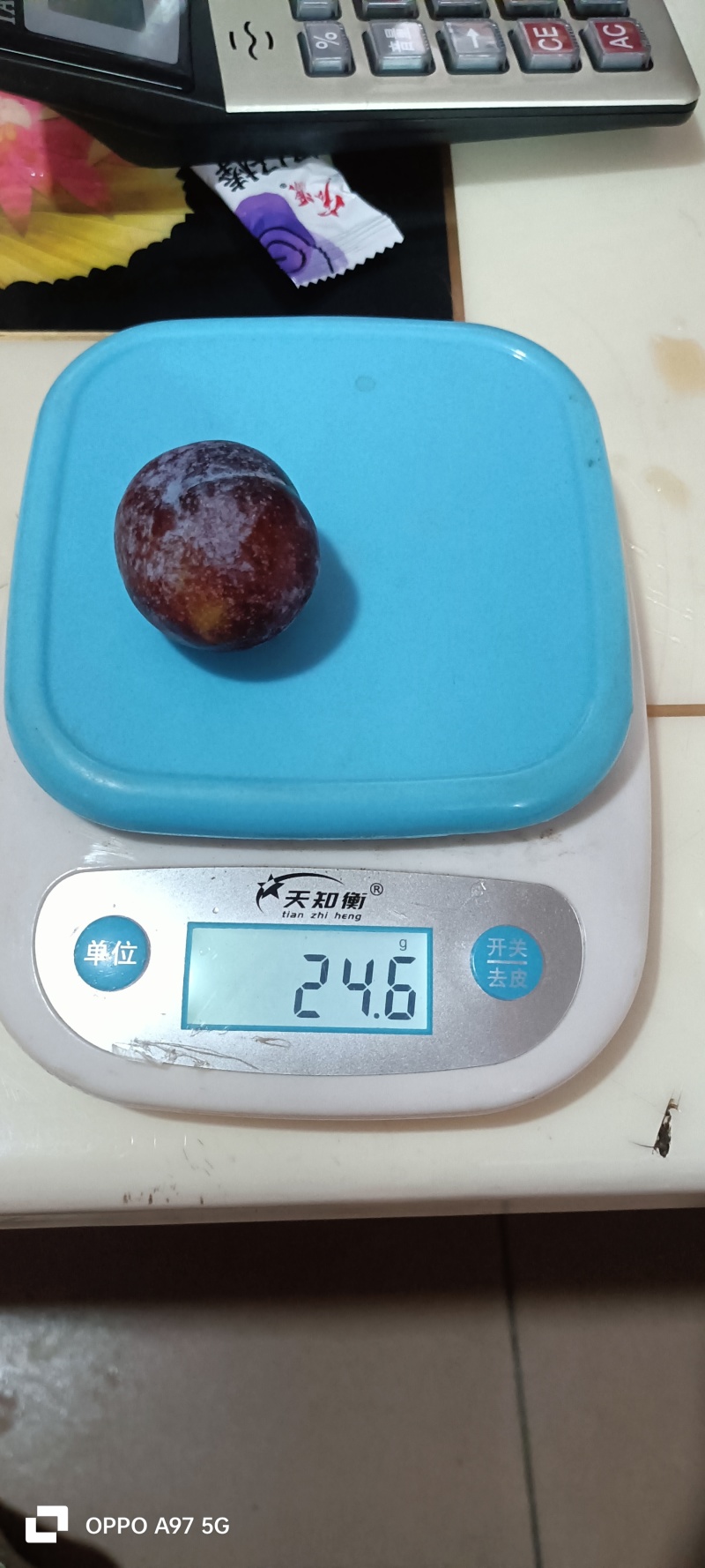 山东脆红李子红李子产地现摘现发货糖度十八以上，离核