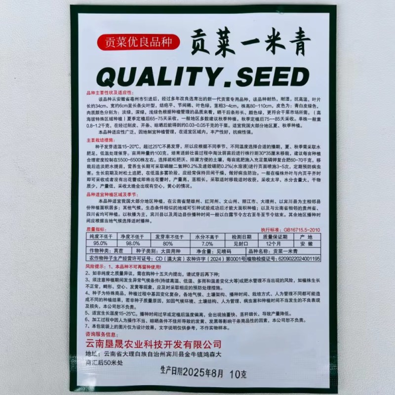贡菜一米青贡菜专用种子优选提纯高产抗旱抗病品相好