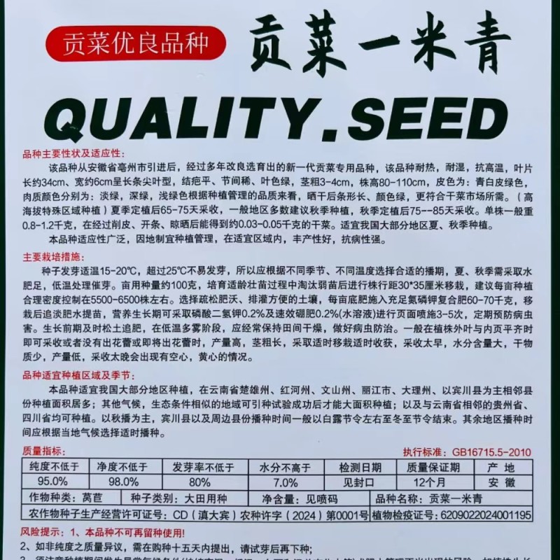 贡菜一米青贡菜专用种子优选提纯高产抗旱抗病品相好